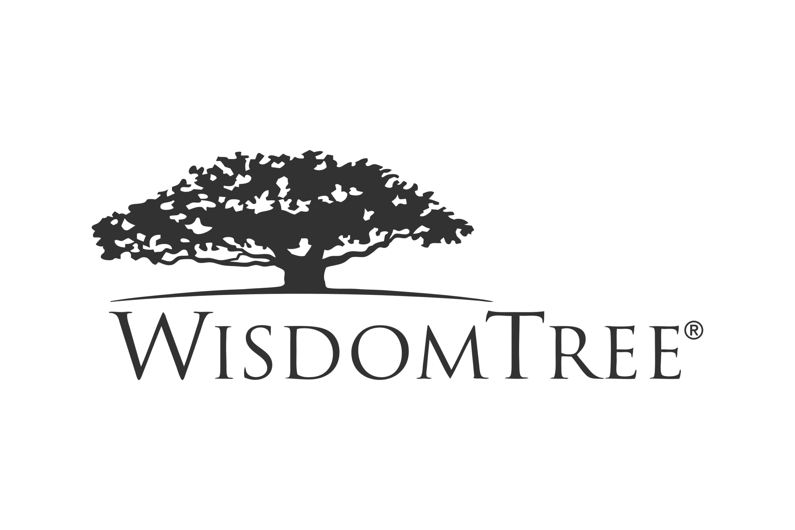 WisdomTree Investments Logo