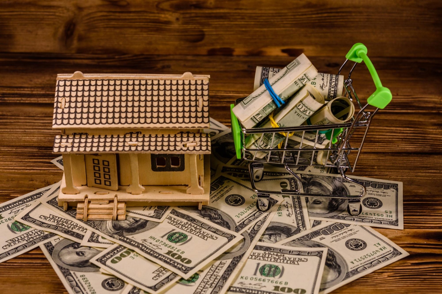 House Model With Money In Shopping Cart